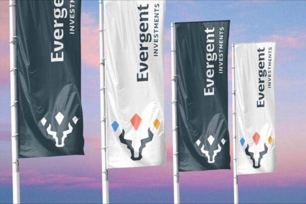 actionarii evergent investments au aprobat derularea unei operatiuni de rascumparare in cursul exercitiului financiar 2026 69023eb73d29a