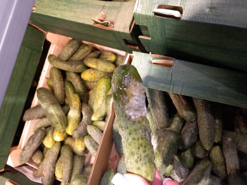 anpc a controlat peste 1 700 de companii saptamana aceasta si a dat 1 185 de amenzi 68e9336d5ab45