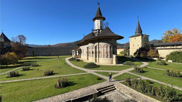 bucovina plai cu flori vazuta din forest coaster 69006d95e36c0