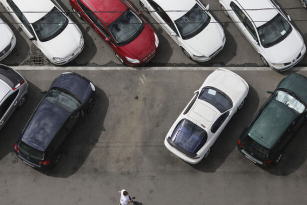 de ce nu patesti nimic daca nu platesti amenzile pentru parcare de la primaria capitalei cum explica stelian bujduveanu situatia 68e8860bae186