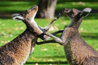 mastercard and coinbase in bidding war for stablecoin firm bvnk fortune 68e917156f310