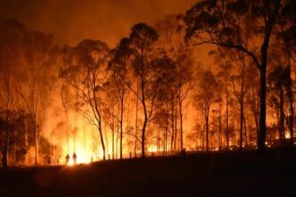 net zero banking alliance shuts down 68e013736a83d