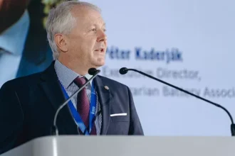 peter kaderjak huba ungaria ar putea fi un jucator de top trei in productia europeana de baterii 68fa1896e0eed
