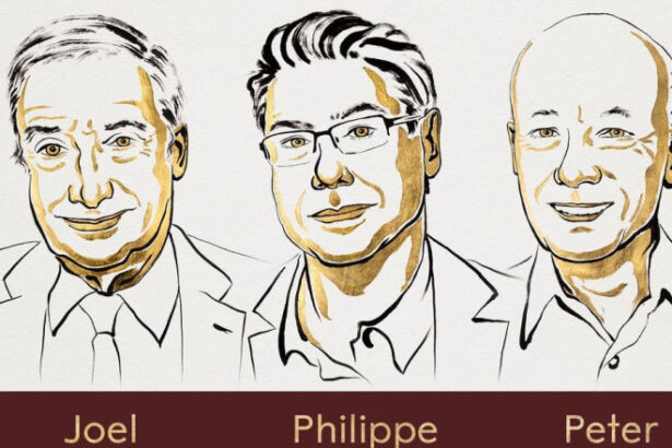 premiul nobel pentru economie atribuit lui joel mokyr philippe aghion si peter howitt 68ed027ad3826