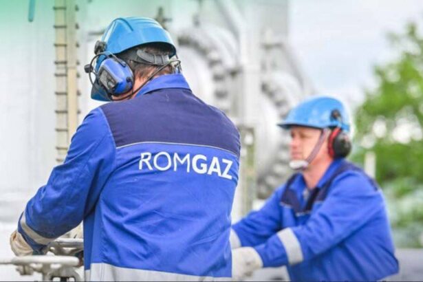 romgaz a iesit sa se imprumute din nou pe pietele internationale cu 500 de milioane de euro zf ro 690097be2641e