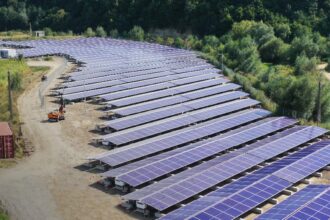 salrom a finalizat un parc fotovoltaic la sucursala cacica unul dintre cele mai energofage puncte de productie 68ef3021ef530