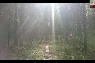 sara yrjonmaki energie natura si implicarea tinerilor 68ea62af66d40