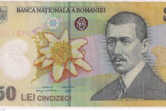 tichete de masa de 50 de lei pe zi programul primul loc de munca stimulente pentru mame si formarea industriei de varf digital si verde masurile propuse de psd pentru p 68e1301f0350c