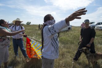 un judecator din sua a redus la 345 de milioane de dolari despagubirile la care fusese condamnata greenpeace pentru ca s a opus constructiei unui oleoduct in statul american dakota 690383e079549