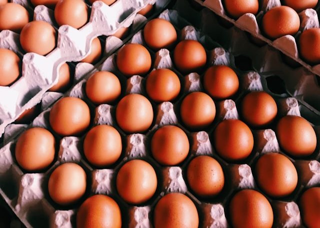 a doua fabrica de oua lichide din romania se deschide anul viitor unde si cine o construieste 6910a9075782c