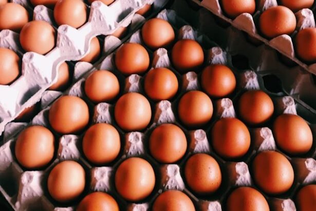 azi se deschide o noua ferma avicola in bacau care ar putea produce 50 de milioane de oua an 692540206c586