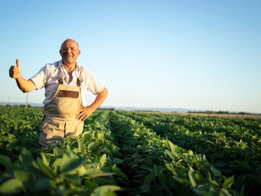 cec bank faciliteaza refinantarea creditelor acordate prin componentele agro si rural printr o noua conventie oferita clientilor 691c3177c2224