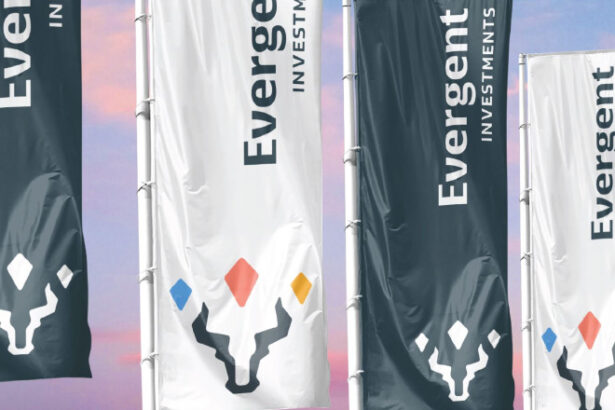 evergent investments propune actionarilor un dividend de 0135 lei actiune 6917a0a36ce11