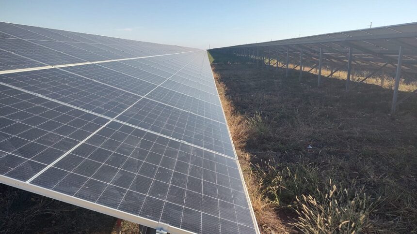 premiera romania a depasit pragul de 3 000 mw putere instalata in parcuri fotovoltaice 69163eb06c21f