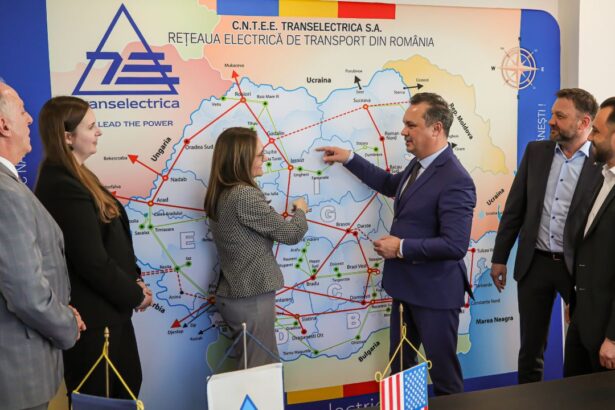 transelectrica primeste de la anre facilitatea de a cumpara energie direct de la producatori ocolind piata 690c6c431508a