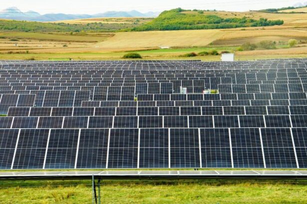 unul dintre cele mai mari proiecte fotovoltaice din romania isi cauta cumparator 400 de mw in zabrani arad 690b6a0b77379