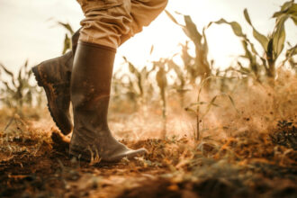 video agricultura din romania in pericol 75 milioane de hectare risca desertificarea avertismentul climatologilor 6908381b33eef