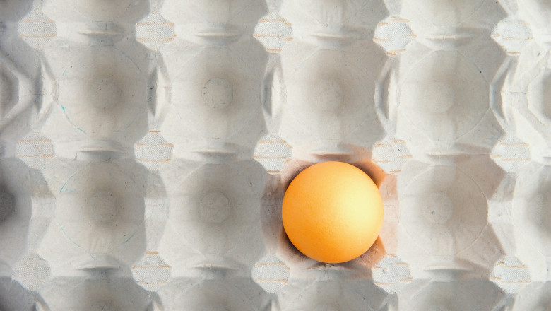 video de ce a aparut o criza de oua in magazinele din romania are legatura cu conditiile in care traiesc gainile din ferme 692c957b737b6