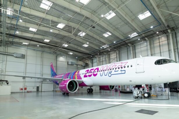 wizz air a receptionat avionul cu numarul 250 si lanseaza reduceri de 30 la anumite bilete 6929f4d320cde