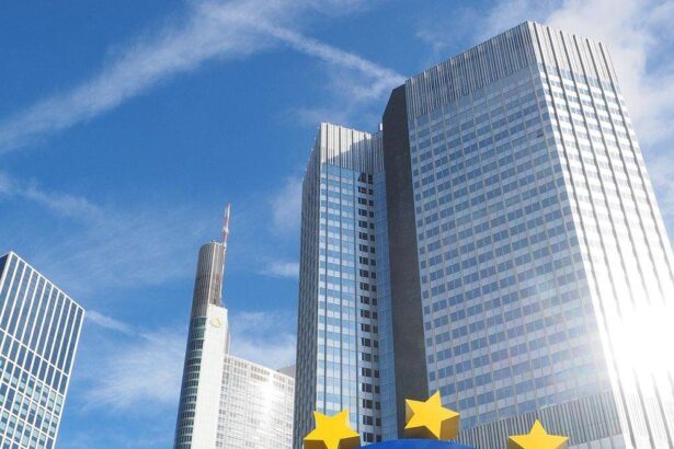 banca centrala europeana a mentinut nemodificate ratele dobanzilor 69441d0290d08