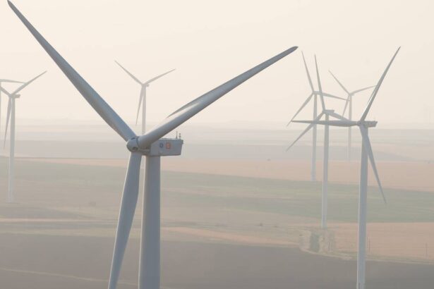 codurile de vant mana cereasca pentru producatorii romani de energie eoliana romania exporta masiv energie la preturi bune 6951717ec0585