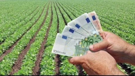 fermieri din romania cum arata nucleul agriculturii romanesti si cate femei antreprenor sunt in acest sector 692d6867276c9