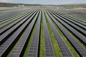 romanii de la waldevar au dat lovitura construiesc langa bucuresti un parc fotovoltaic mare pentru cei mai bogati turci cel mai mare contract de pana acum 694a44134c88f