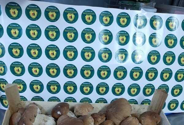 romsilva a obtinut 34 de milioane de lei in primele 11 luni din valorificarea vanatului produselor nelemnoase si salmonicultura 694fc9494f550