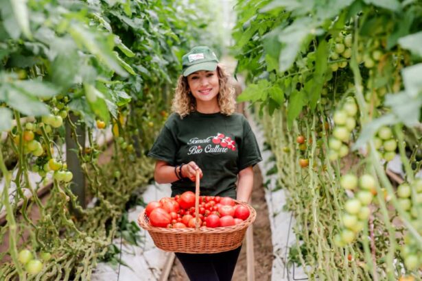 rosii romanesti tot anul cooperativa din capusu mare judetul cluj se alatura programului carrefour gradina noastra 693089fbdf1bc