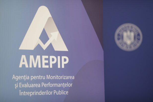 amepip demareaza controale privind selectii intarziate la peste 800 de companii de stat urmeaza vinovati si sanctiuni 695f8e645c094