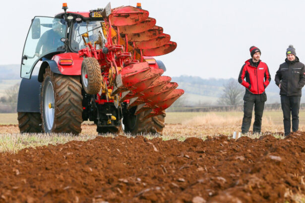 aproape 501 milioane de euro din fonduri europene pentru agricultura si procesare ce finantari pot accesa fermierii romani 695aa4fe276df