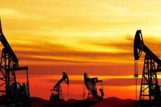 opec si a redus cu 05 oferta de petrol in decembrie 6969551a622ad