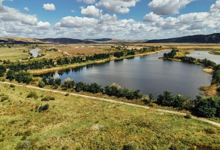 tranzactii cu terenuri arabile mari de 88 milioane de euro anul trecut jumatate din suma a fost generata de un teren pentru nibiru proiectul lui selly 696d3ab5e65a4