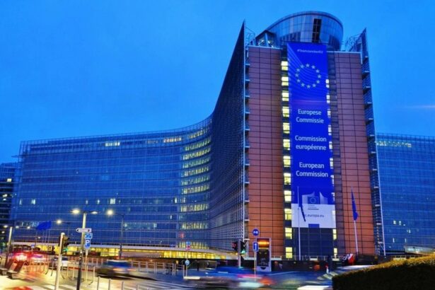 berlinul si parisul cer comisiei europene simplificarea procedurilor serviciilor financiare pentru a le face mai putin impovaratoare pentru companii 6994a619a771b