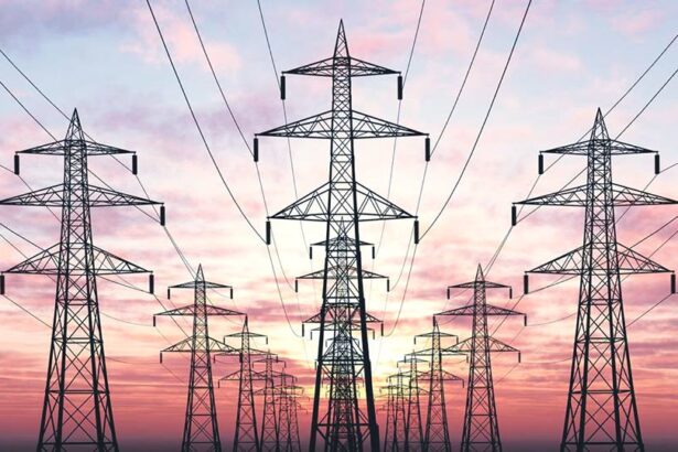 cand energia ajunge sa fie mai scumpa decat forta de munca productia pleaca sustine dumitru chisalita 69886e232627f