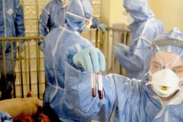 cat ne a costat pesta porcina in 2025 jumatate din bani au ajuns la comtim grup controlat de gigantul chinez wh group 699cb7dd54baf