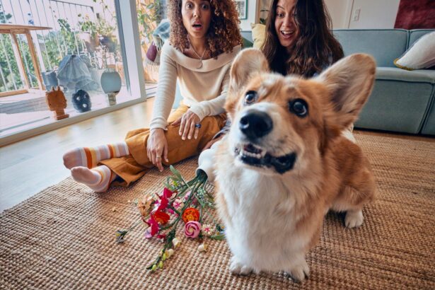 florile raman cadoul cu risc minim si impact maxim studiu lego de valentines day 69932d7d80a44