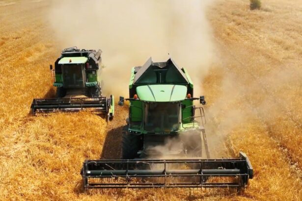 norofert incepe operatiunea de majorare de capital banii vor fi folositi epntru extinderea operatiunilor 698a244067baf