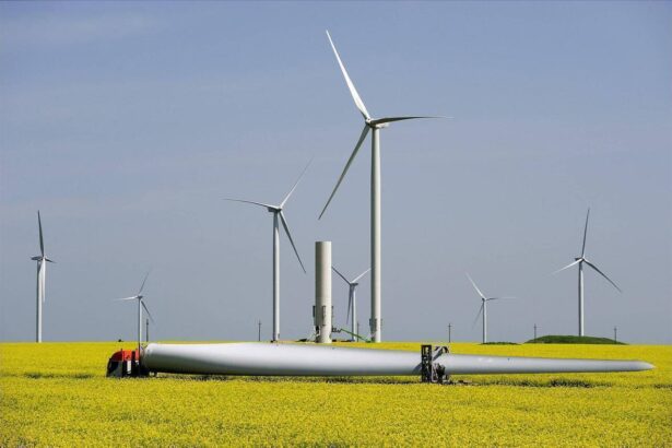 portughezii de la greenvolt iau credit de 59 mil euro pentru un parc eolian de 50 mw pe care il fac in dobrogea 69832594afcd2