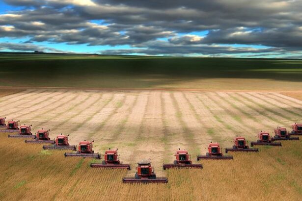 productie record pentru holde agri invest contextul de piata a ramas unul dificil in 2025 699d62f8bcd9b