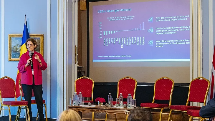 romania nu are curajul sa si joace rolul regional pe piata energiei 699588cc6fc1c