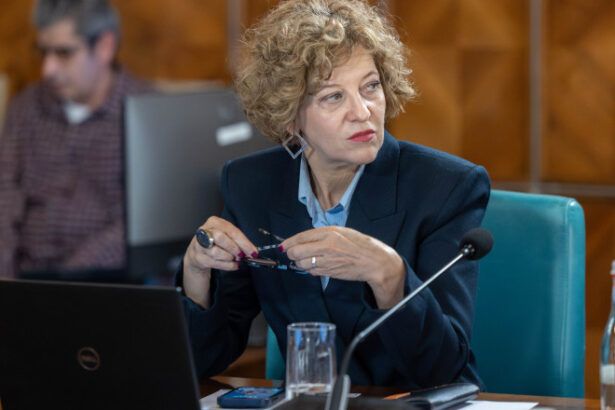 vicepremierul oana gheorghiu companiile de stat pot fi restructurate dar nu prin gesturi bruste sau decizii luate pe genunchi 697ef6c43b0e2