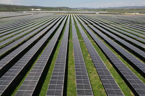 wien energy cel mai mare funizor de energie din austria a demarat proiectul unui nou parc fotovoltaic in ardeal 699224c4f0b8f