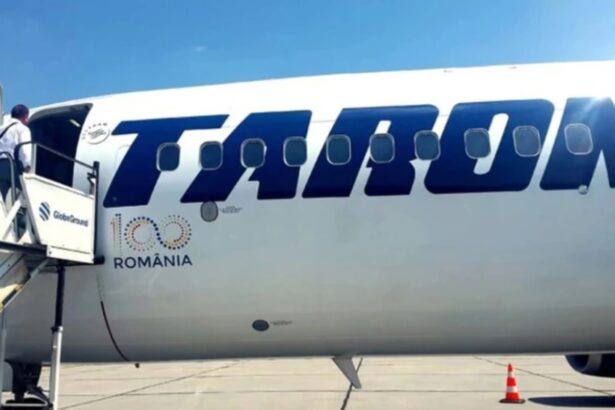 alina loredana bontea sotia vicepresedintelui ancom si nepoata unui fost sef spp numita in ca tarom 69b7e1cca6d13