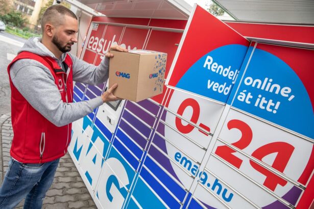 antreprenoarele si au crescut vanzarile online cu 22 in ultimul an studiu emag 69afdcb6e8379