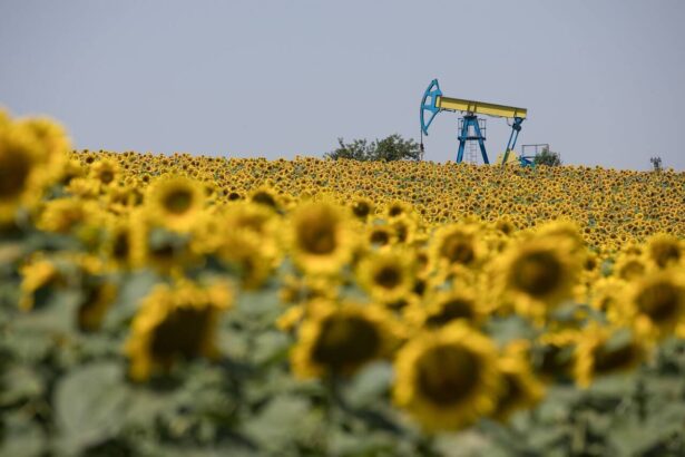 ce profit estimeaza petrom pentru acest an si cati bani ar putea castiga daca petrolul ramane la 100 de dolari barilul 69bda87ee2b1d