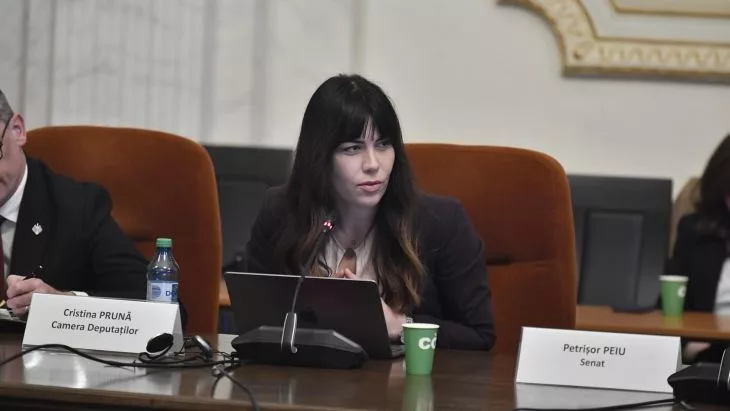 cristina pruna guvernul intervine in piata in loc sa reduca accizele si tva 69c408b4ee015