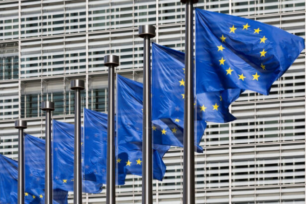 exclusiv ce masuri ar putea lua comisia europeana in criza carburantilor roxana minzatu vicepresedinte ce lucram cu scenariul pesimist 69cabd448d732