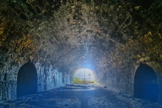 foto cfr sa a lansat la licitatie reabilitarea tunelului palas al doilea acces feroviar catre portul constanta 69b945d30b470