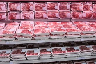 industria carnii de porc da semne usoare de redresare pe seama cresterii preturilor romania este in continuare cea mai afectata de pesta porcina 69c044ad43324